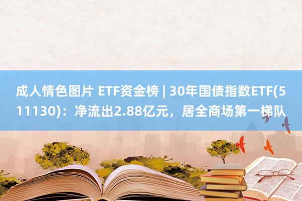 成人情色图片 ETF资金榜 | 30年国债指数ETF(511130)：净流出2.88亿元，居全商场第一梯队