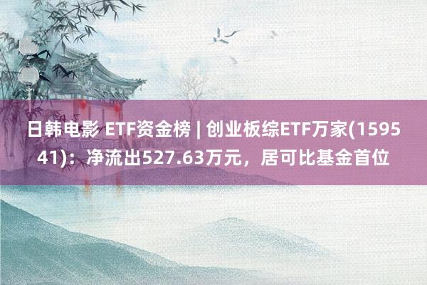 日韩电影 ETF资金榜 | 创业板综ETF万家(159541)：净流出527.63万元，居可比基金首位