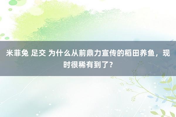 米菲兔 足交 为什么从前鼎力宣传的稻田养鱼，现时很稀有到了？