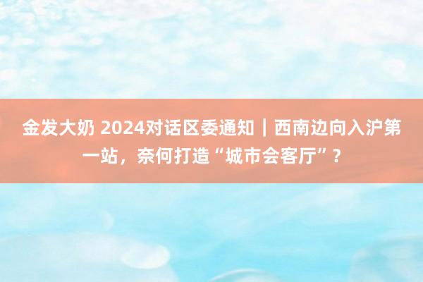 金发大奶 2024对话区委通知｜西南边向入沪第一站，奈何打造“城市会客厅”？