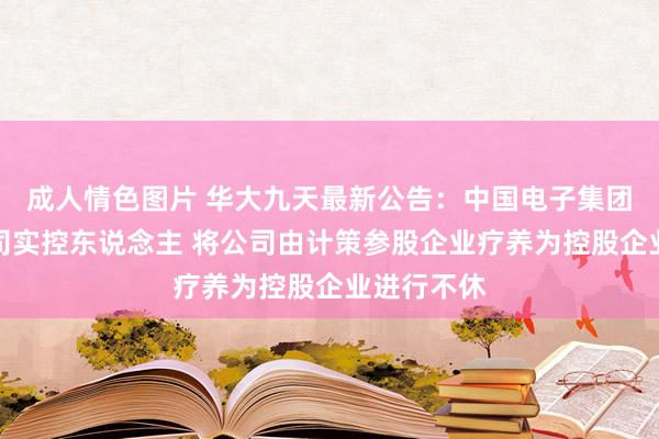 成人情色图片 华大九天最新公告：中国电子集团将成为公司实控东说念主 将公司由计策参股企业疗养为控股企业进行不休