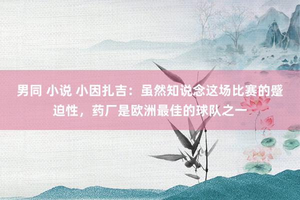 男同 小说 小因扎吉：虽然知说念这场比赛的蹙迫性，药厂是欧洲最佳的球队之一