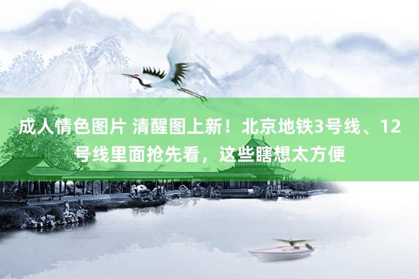 成人情色图片 清醒图上新！北京地铁3号线、12号线里面抢先看，这些瞎想太方便