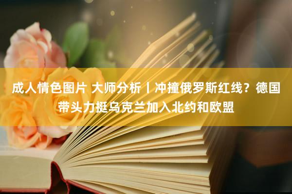 成人情色图片 大师分析丨冲撞俄罗斯红线？德国带头力挺乌克兰加入北约和欧盟