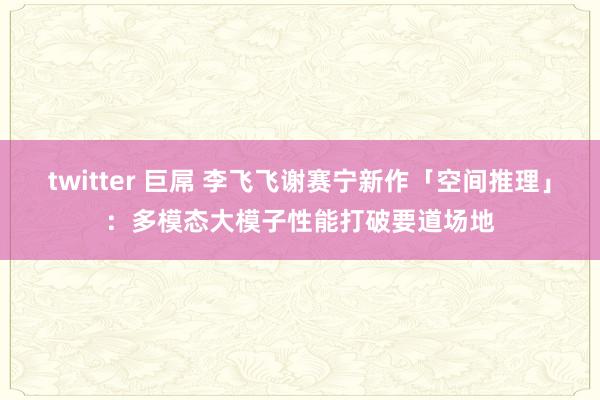 twitter 巨屌 李飞飞谢赛宁新作「空间推理」：多模态大模子性能打破要道场地