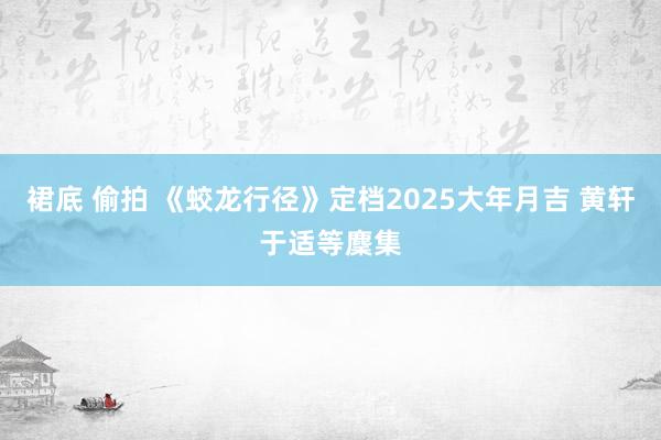 裙底 偷拍 《蛟龙行径》定档2025大年月吉 黄轩于适等麇集