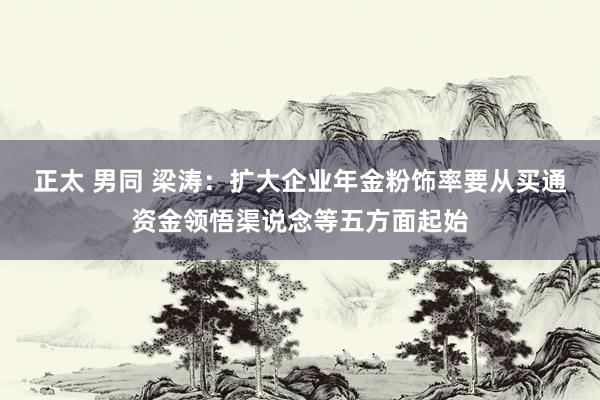 正太 男同 梁涛：扩大企业年金粉饰率要从买通资金领悟渠说念等五方面起始