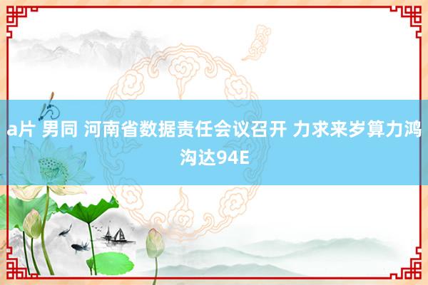 a片 男同 河南省数据责任会议召开 力求来岁算力鸿沟达94E