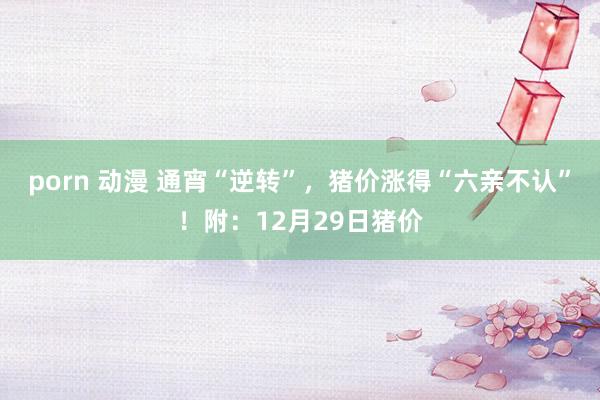 porn 动漫 通宵“逆转”，猪价涨得“六亲不认”！附：12月29日猪价