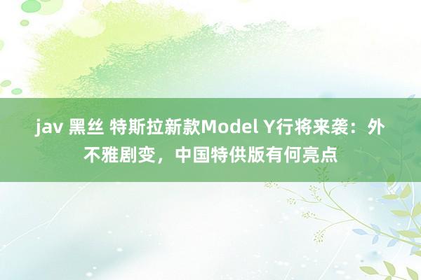 jav 黑丝 特斯拉新款Model Y行将来袭：外不雅剧变，中国特供版有何亮点