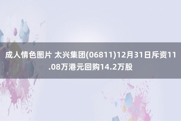 成人情色图片 太兴集团(06811)12月31日斥资11.08万港元回购14.2万股