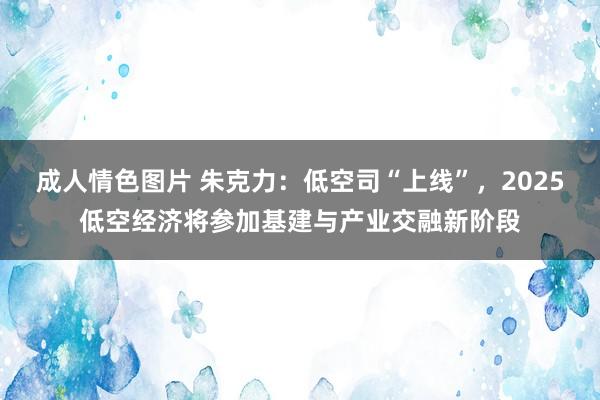 成人情色图片 朱克力：低空司“上线”，2025低空经济将参加基建与产业交融新阶段