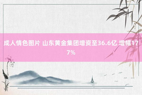 成人情色图片 山东黄金集团增资至36.6亿 增幅177%