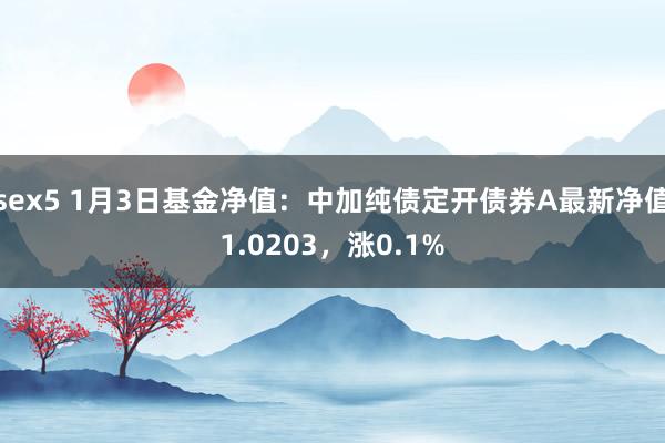 sex5 1月3日基金净值：中加纯债定开债券A最新净值1.0203，涨0.1%