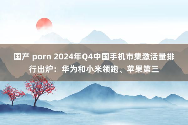 国产 porn 2024年Q4中国手机市集激活量排行出炉：华为和小米领跑、苹果第三