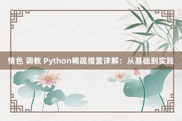 情色 调教 Python稀疏措置详解：从基础到实践