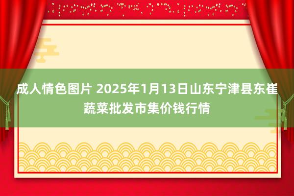 成人情色图片 2025年1月13日山东宁津县东崔蔬菜批发市集价钱行情