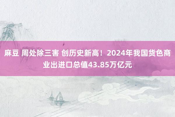 麻豆 周处除三害 创历史新高！2024年我国货色商业出进口总值43.85万亿元