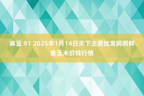 麻豆 91 2025年1月14日天下主要批发阛阓鲜食玉米价钱行情